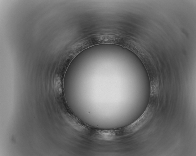 X0000113220187200909171602