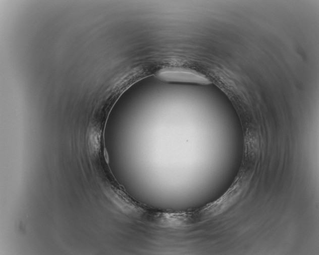 X0000113220188200909171602