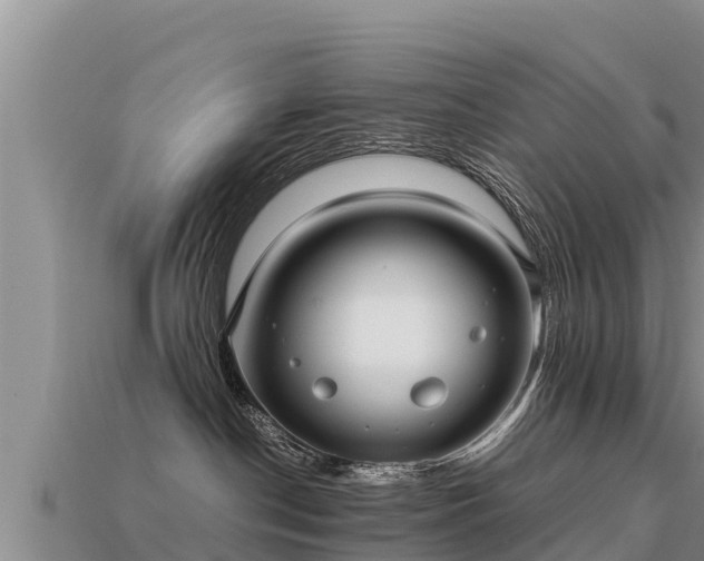 X0000113220190200909171602