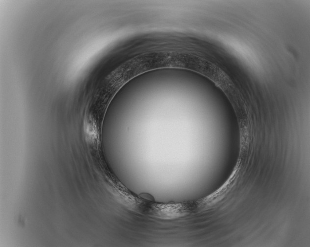 X0000113220191200909171602