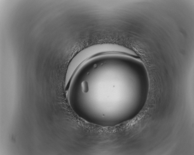 X0000113220192200909171602