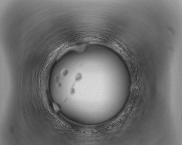 X0000113220193200909171602