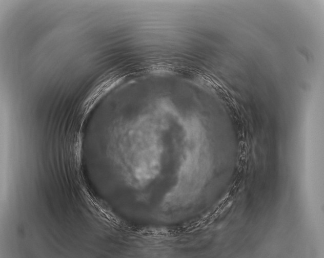 X0000113220194200909171602