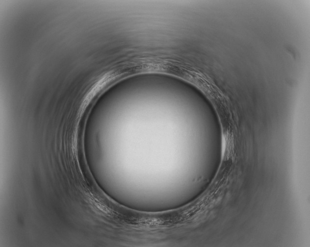 X0000113220195200909171602