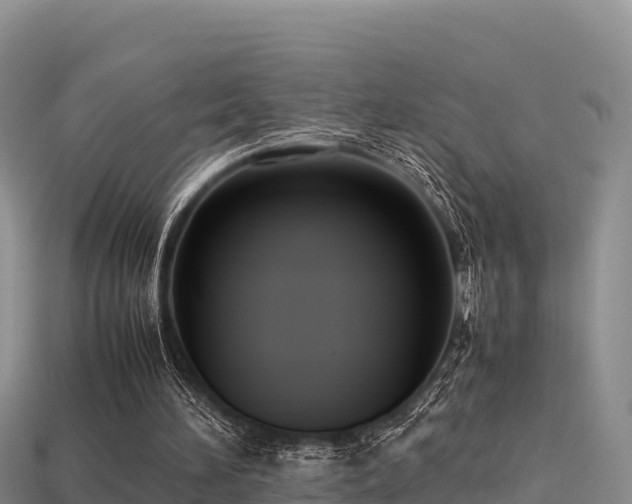 X0000113220196200909171602