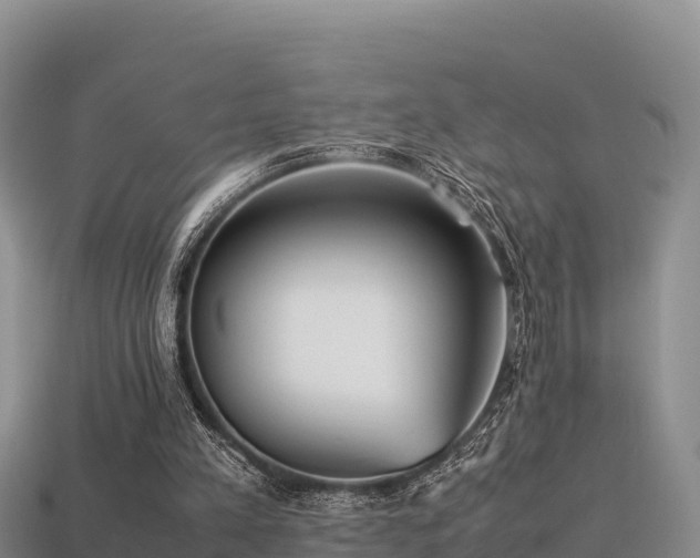 X0000113220197200909171602