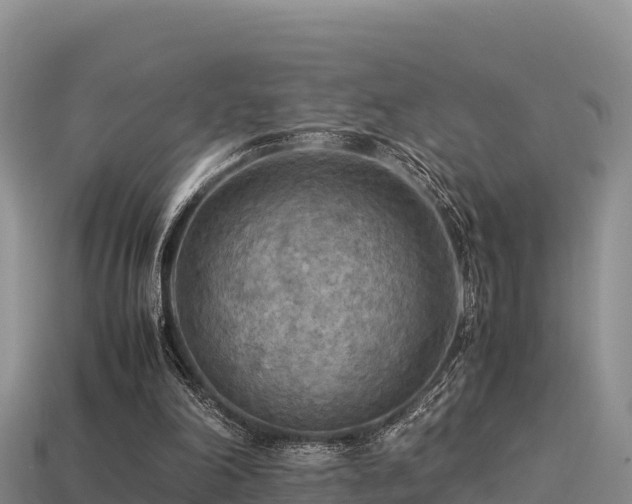 X0000113220198200909171602