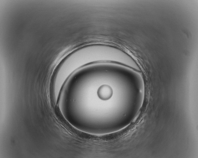 X0000113220199200909171602