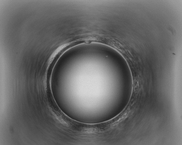 X0000113220200200909171602