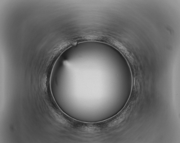 X0000113220201200909171602