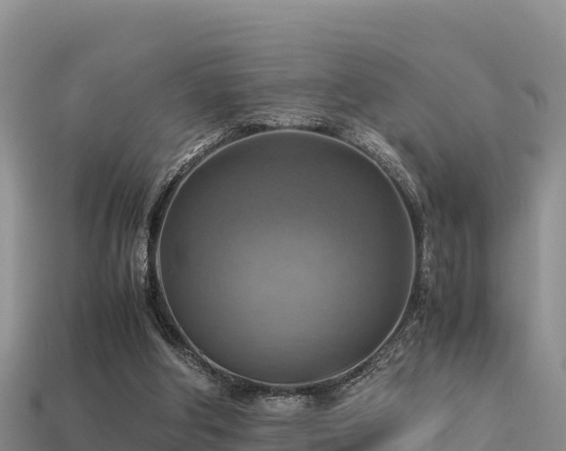 X0000113220202200909171602