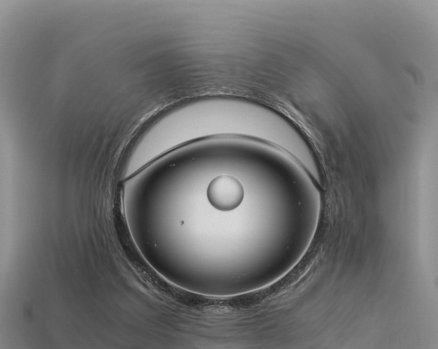 X0000113220203200909171602