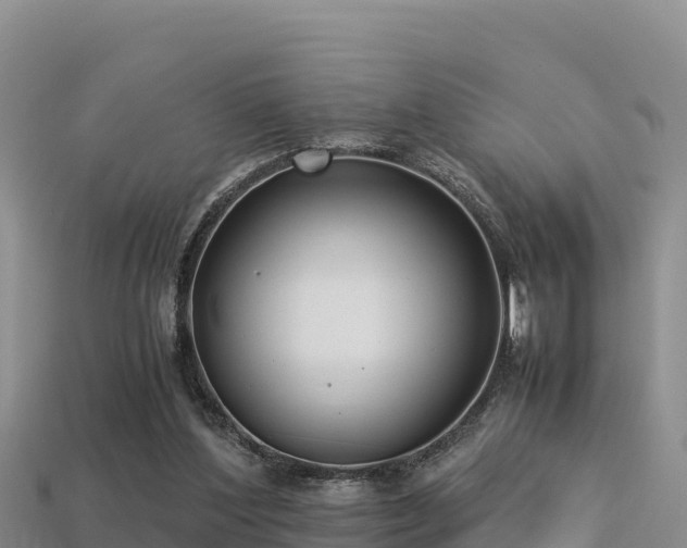 X0000113220204200909171602