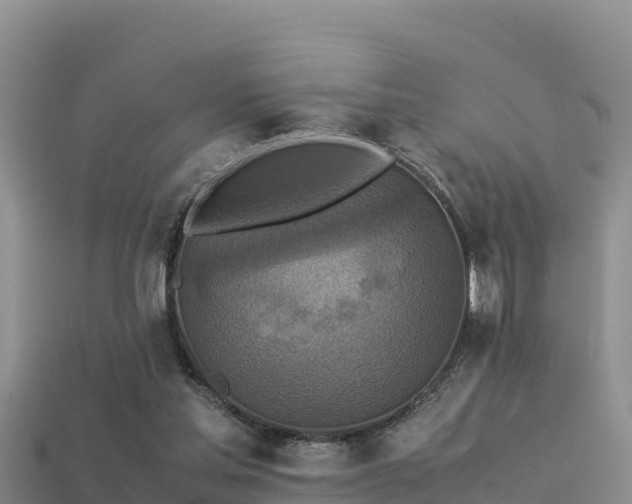 X0000113220205200909171602