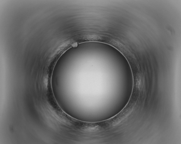 X0000113220206200909171602