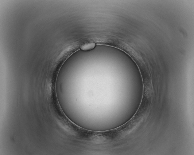 X0000113220207200909171602