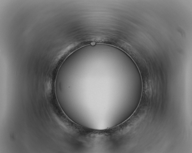 X0000113220208200909171602