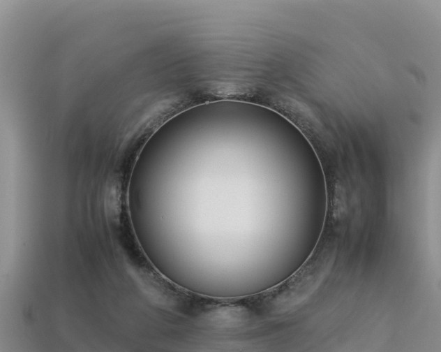 X0000113220210200909171602