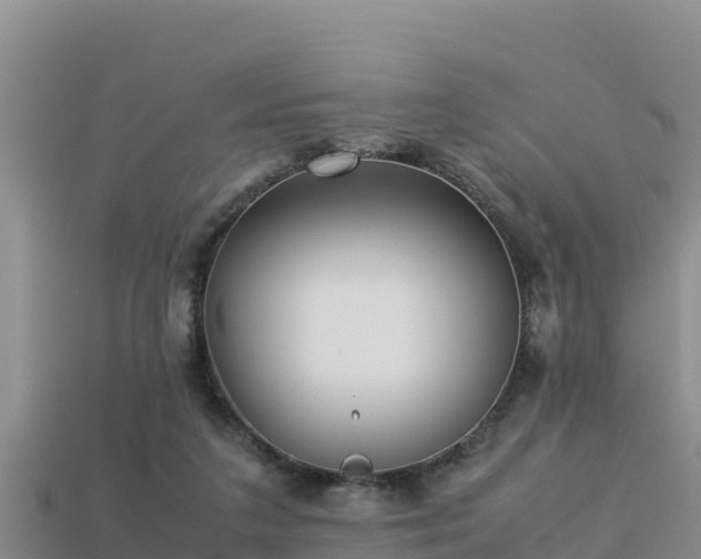 X0000113220211200909171602