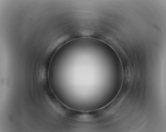 X0000113220212200909171602