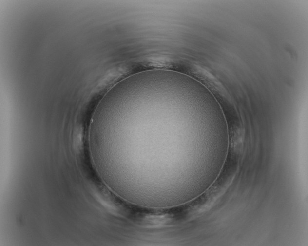 X0000113220213200909171602