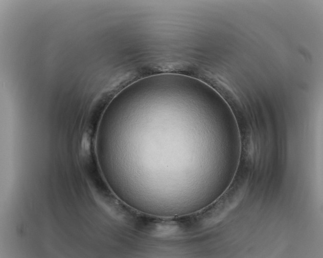 X0000113220214200909171602