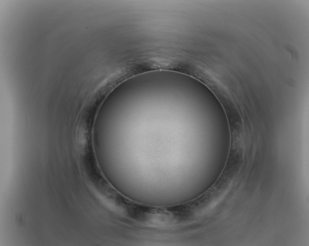 X0000113220215200909171602