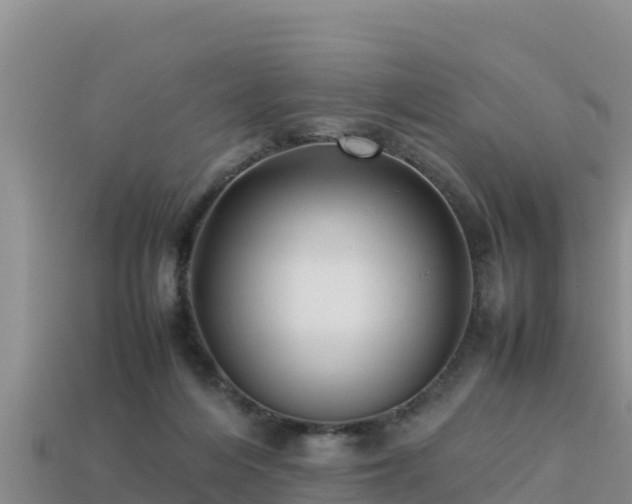 X0000113220216200909171602