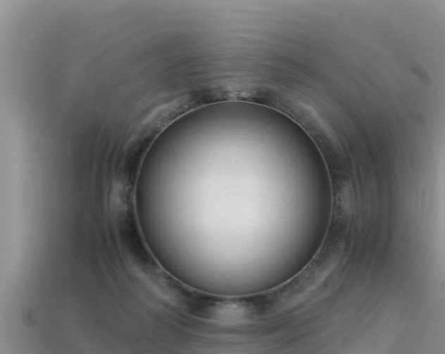 X0000113220218200909171601