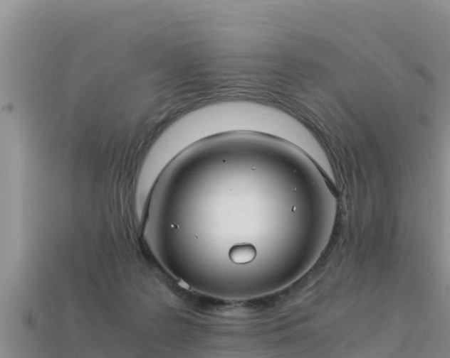 X0000113220219200909171601