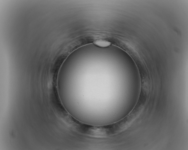 X0000113220221200909171601