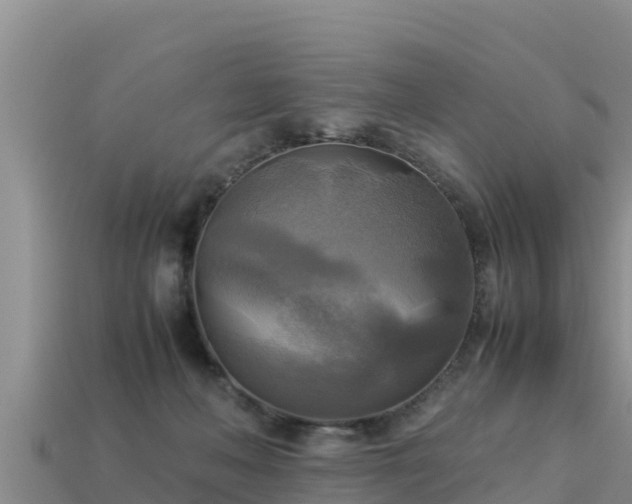 X0000113220222200909171601