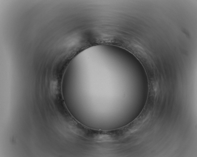 X0000113220224200909171601