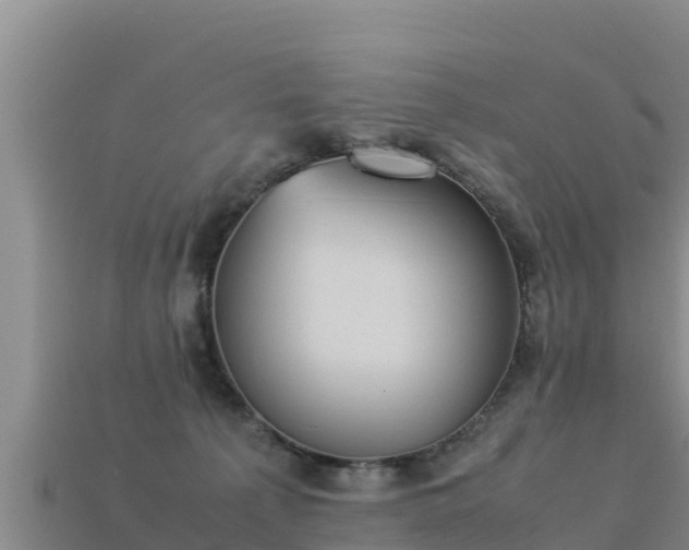 X0000113220225200909171601