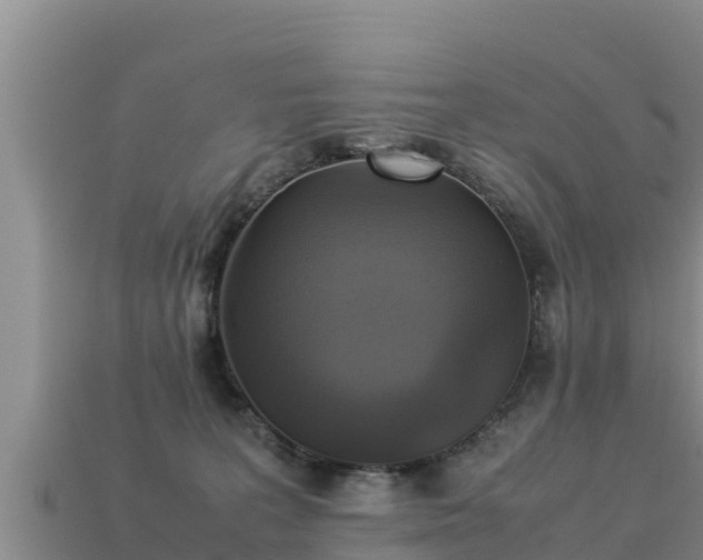 X0000113220227200909171601