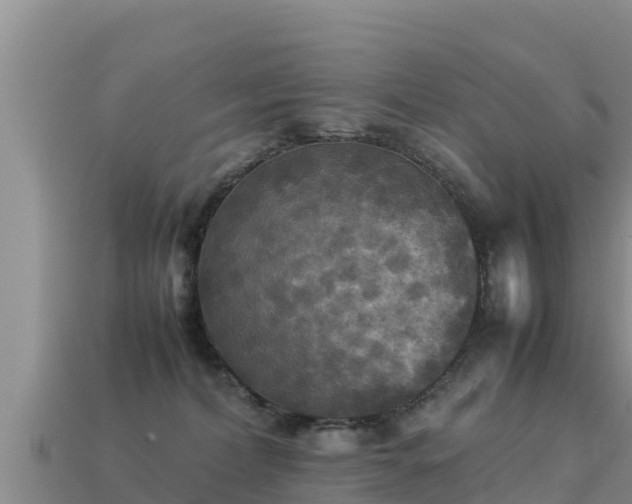 X0000113220228200909171601