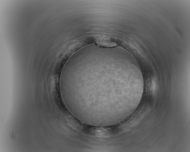 X0000113220229200909171601