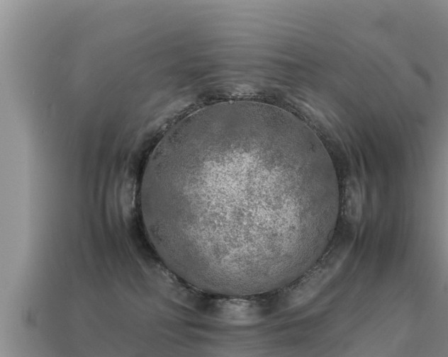 X0000113220230200909171601