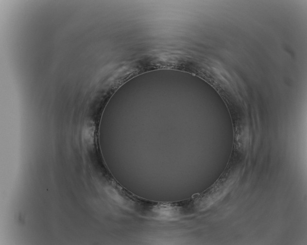 X0000113220231200909171601