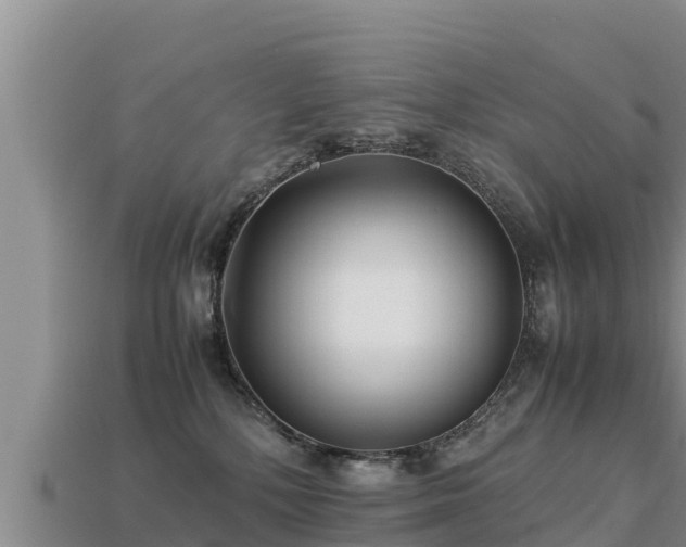 X0000113220232200909171601