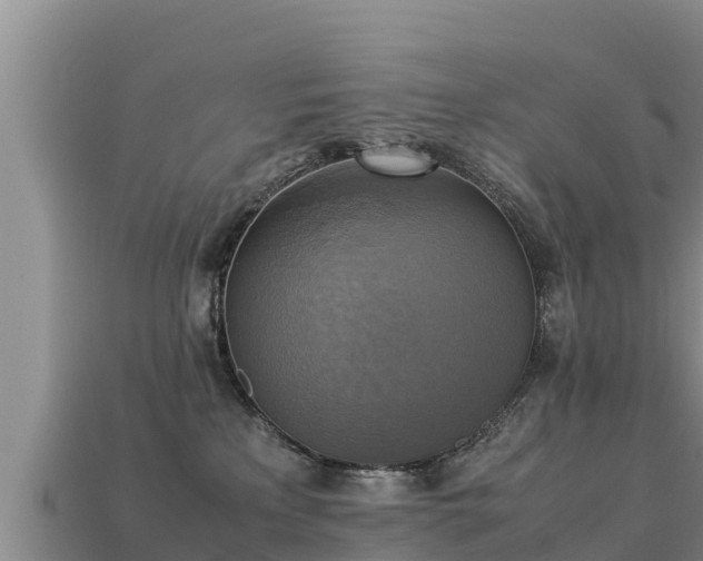 X0000113220233200909171601