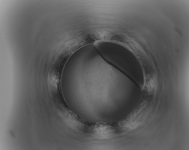 X0000113220235200909171601