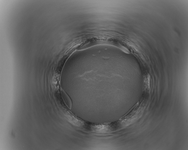 X0000113220237200909171601