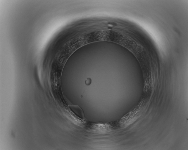 X0000113220239200909171601