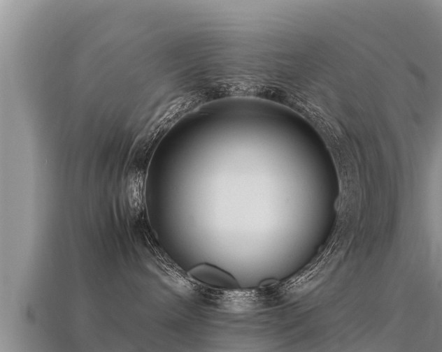 X0000113220240200909171601