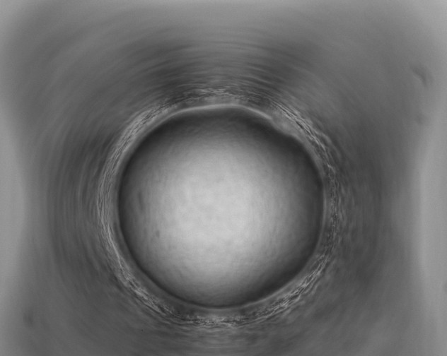 X0000113220241200909171600