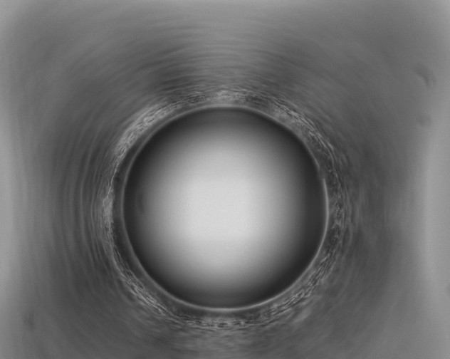 X0000113220242200909171600