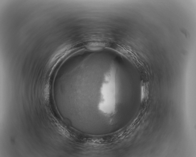 X0000113220243200909171601