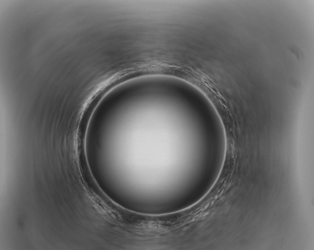 X0000113220244200909171601