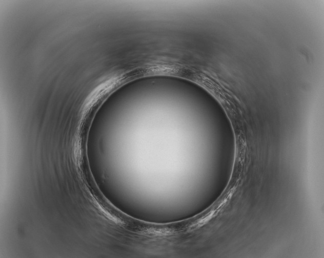 X0000113220245200909171601